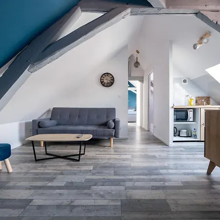 Liris - Hyper Centre - Wifi - 4 Personnes - Reve Au Mans *